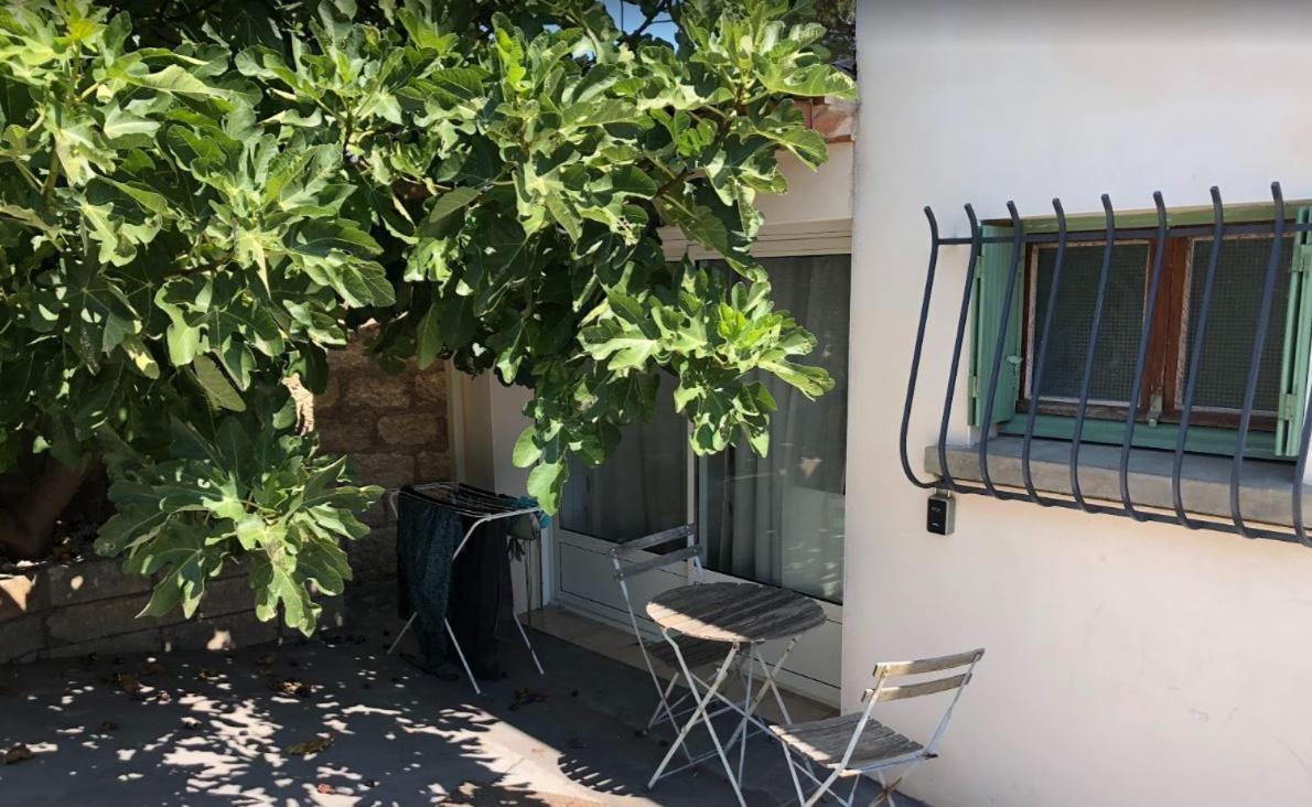 Le Nid Castries - Charmant Logement Complet Et Equipe Centre Castries Proche Montpellier 外观 照片